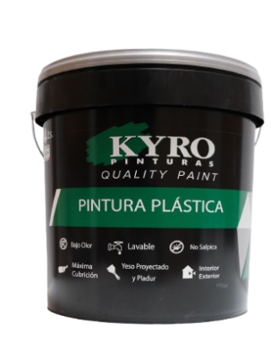 DSCF3717-removebg-preview